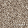 Serene Ambiance Coconut Brown